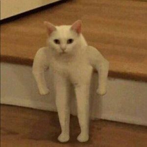 Meet your Posher, Mia